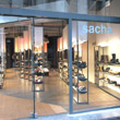 sacha